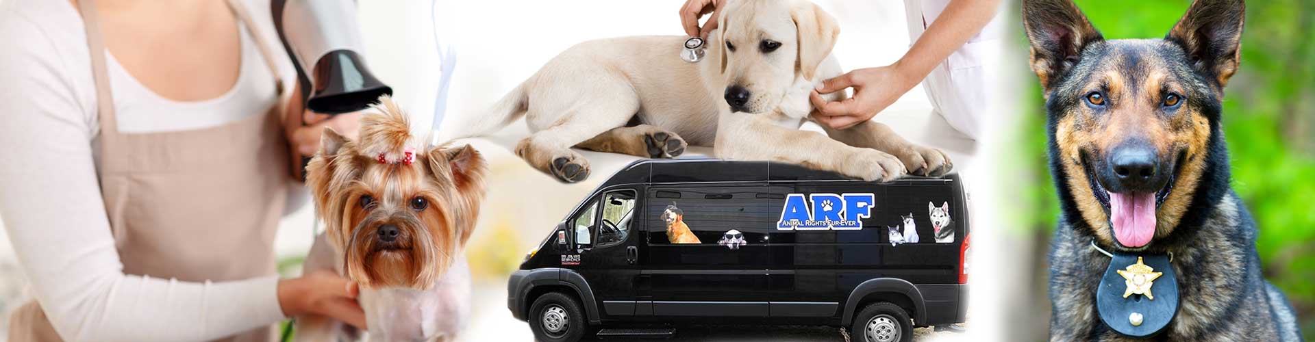 Air conditioning and heating climate control for animal and pet transport
